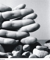 /album/materiale-laoratorio-p-cerlati-alla-ricerca-del-corpo-perduto/bil-bradt-jpg/